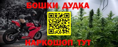 индика Беслан