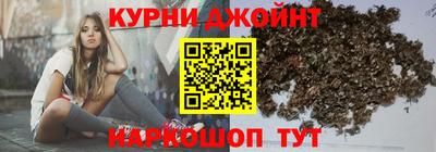 индика Беслан