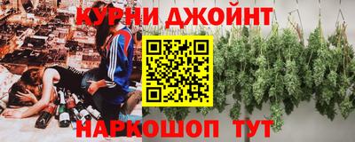 индика Беслан