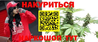 индика Беслан