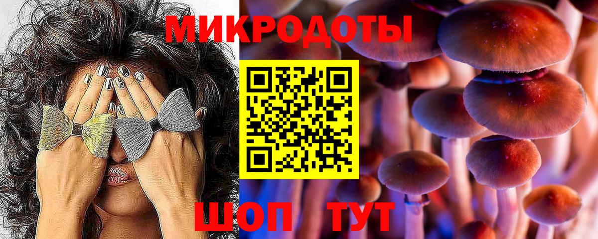Псилоцибиновые грибы Cubensis  наркота  Биробиджан  Псилоцибиновые грибы ЛСД  Вход с VPN 