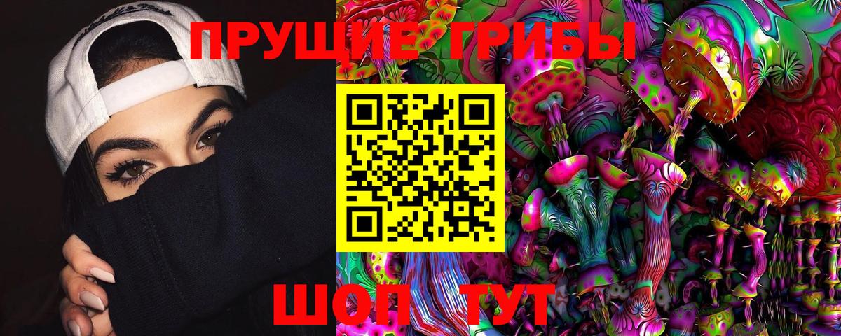 Галлюциногенные грибы Psilocybe Биробиджан